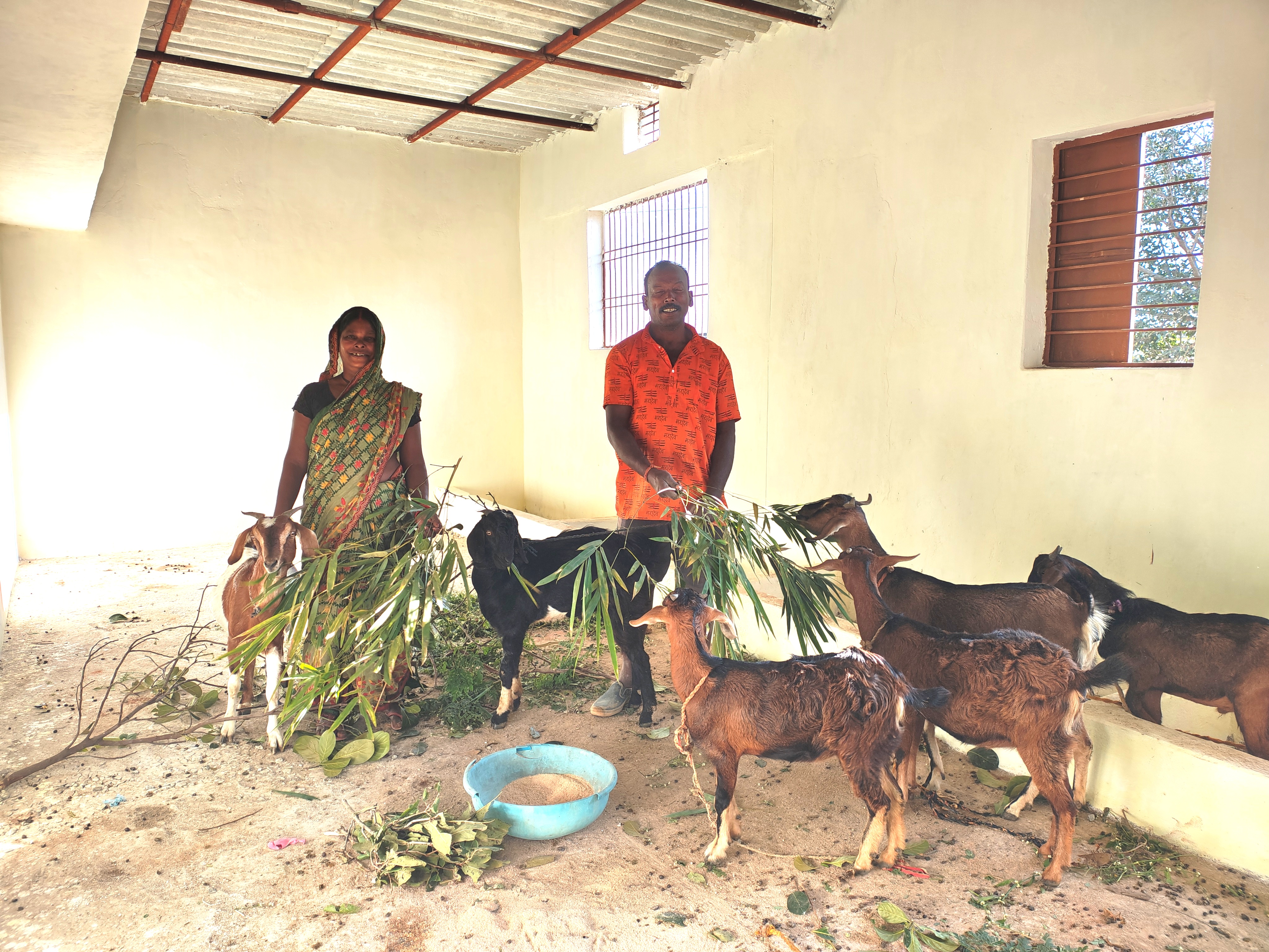 बकरी पालन रोजगार