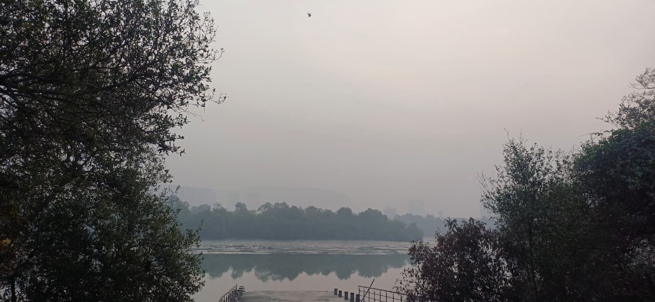 Danger of pollution behind the haze of log