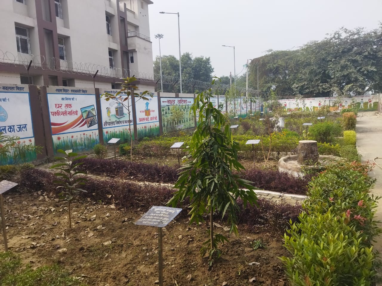 नक्षत्र वाटिका में लगे पौधे नक्षत्र वाटिका में लगे पौधे