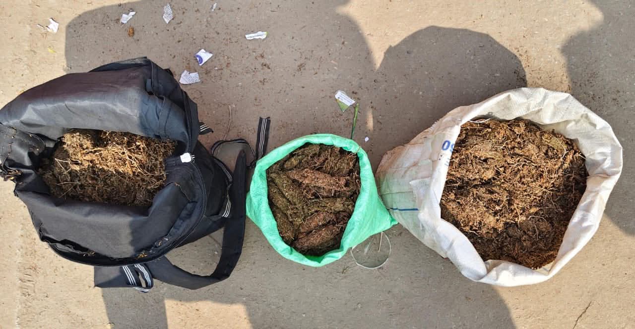 बरामद गांजा बरामद गांजा