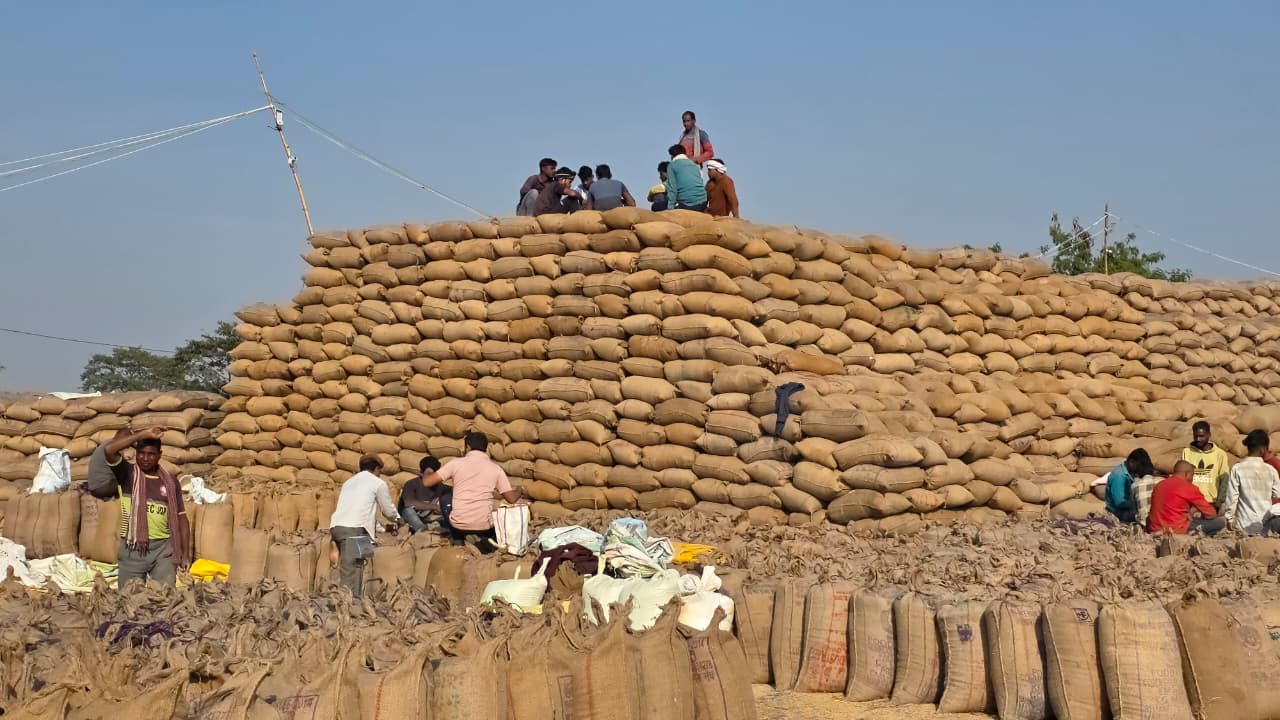 धान खरीदी त्यौहार