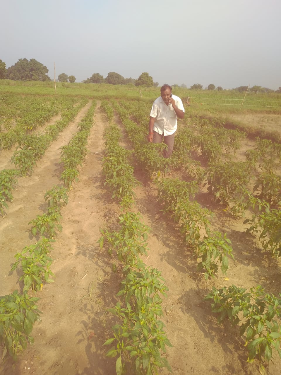 अपने खेत पर भंवरपाल सिंह