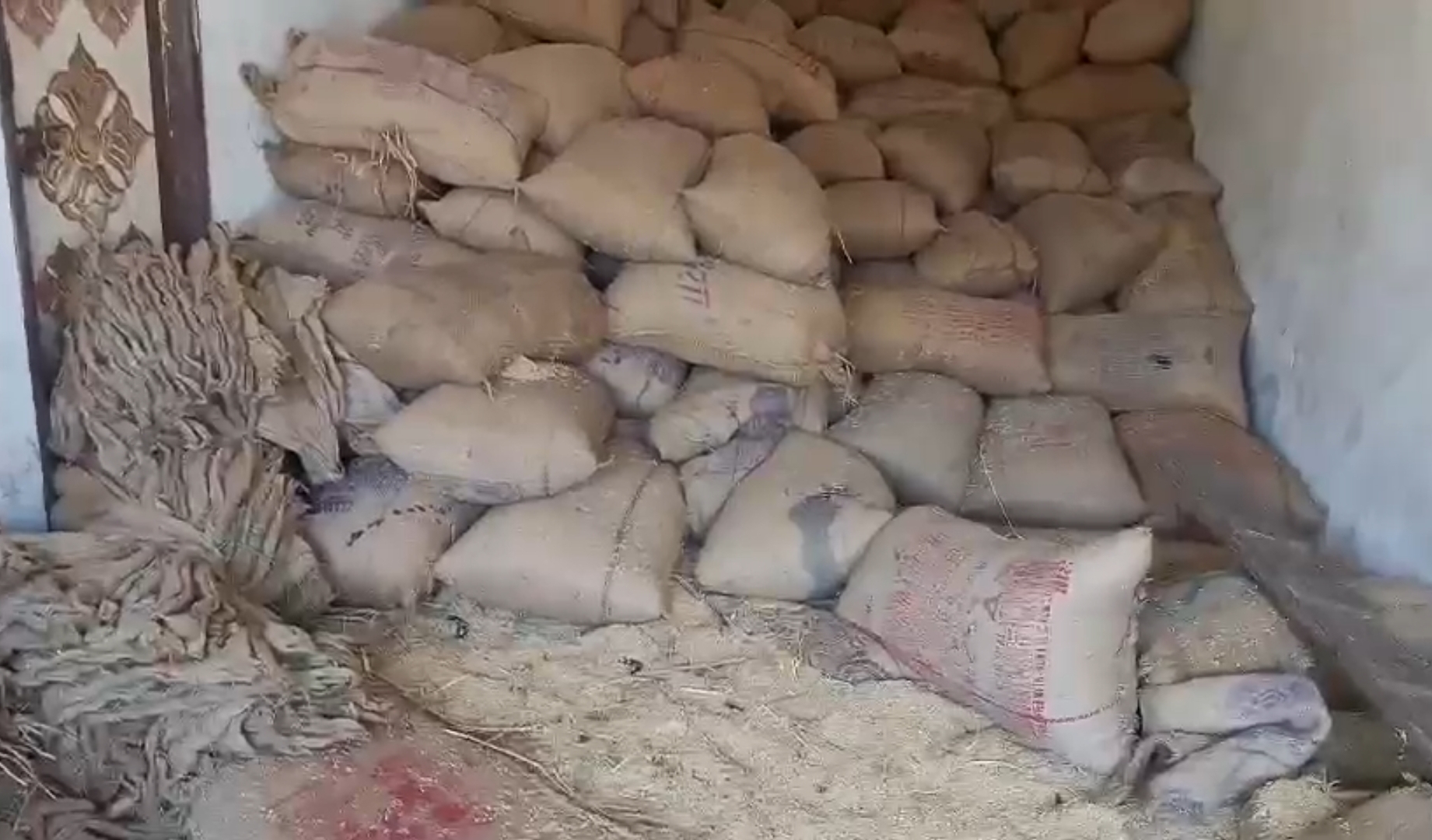 गोदाम में रखा हुआ धान।