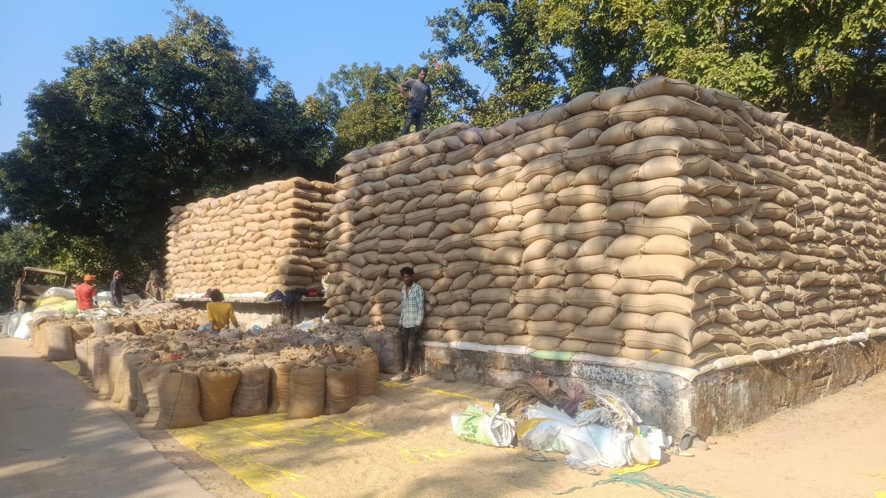 रीसाइक्लिंग रोकने मार्कफेड ने धान उठाव पर लगाई रोक, कोरबा में 151 करोड़ का 6.56 लाख क्विंटल धान जाम