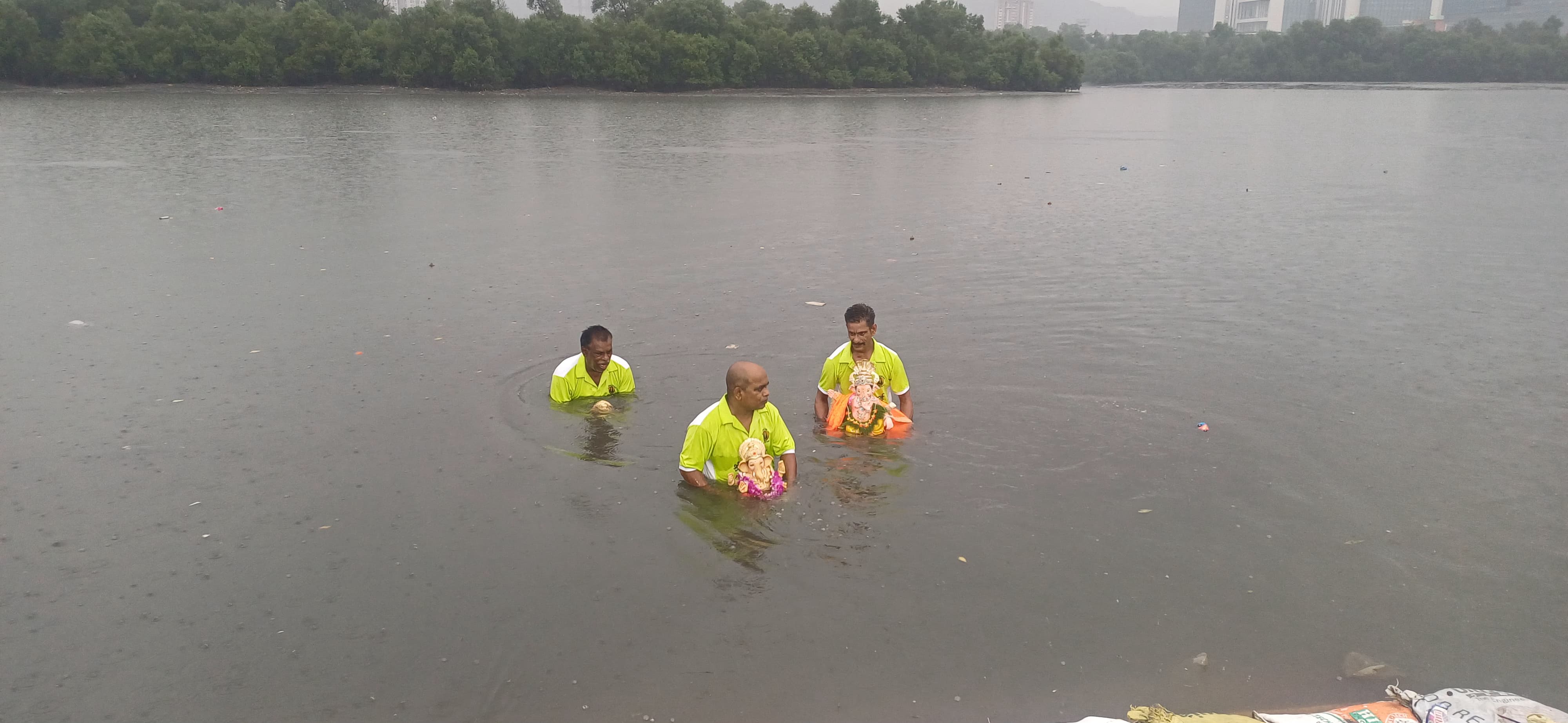 Environment neglected during Ganesh immigration