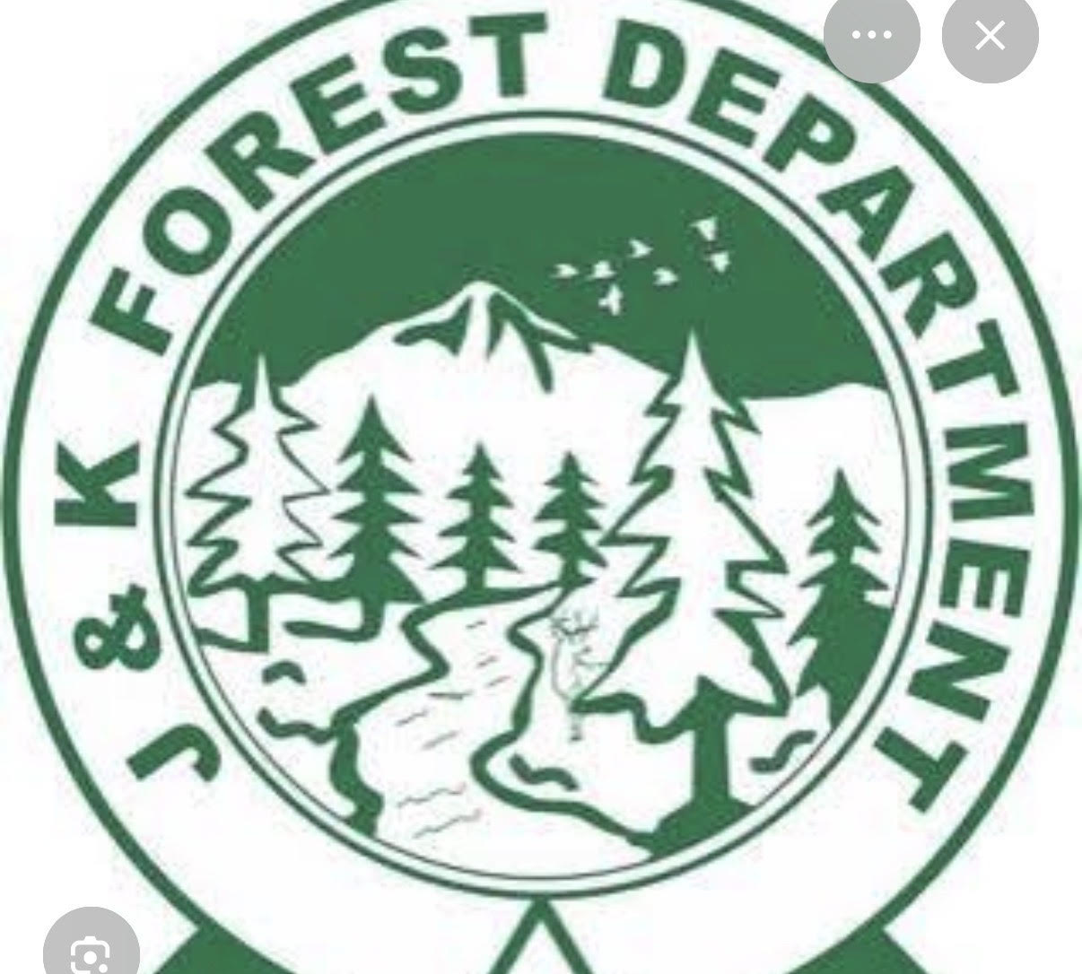 The Forest Department issued a clarification on the felling of trees, calling the reports of illegal felling misleading and baseless.