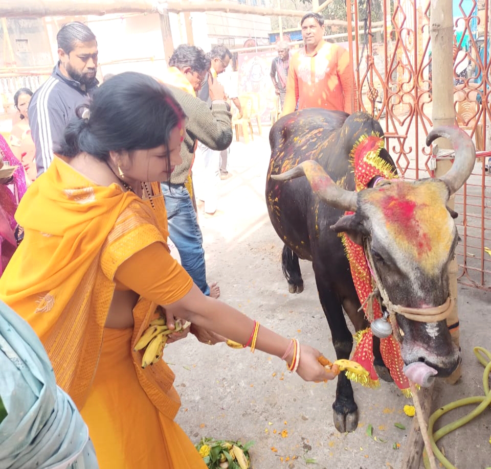 सामाजिक समरसता मंच द्वारा आयोजित गौपूजन कार्यक्रम