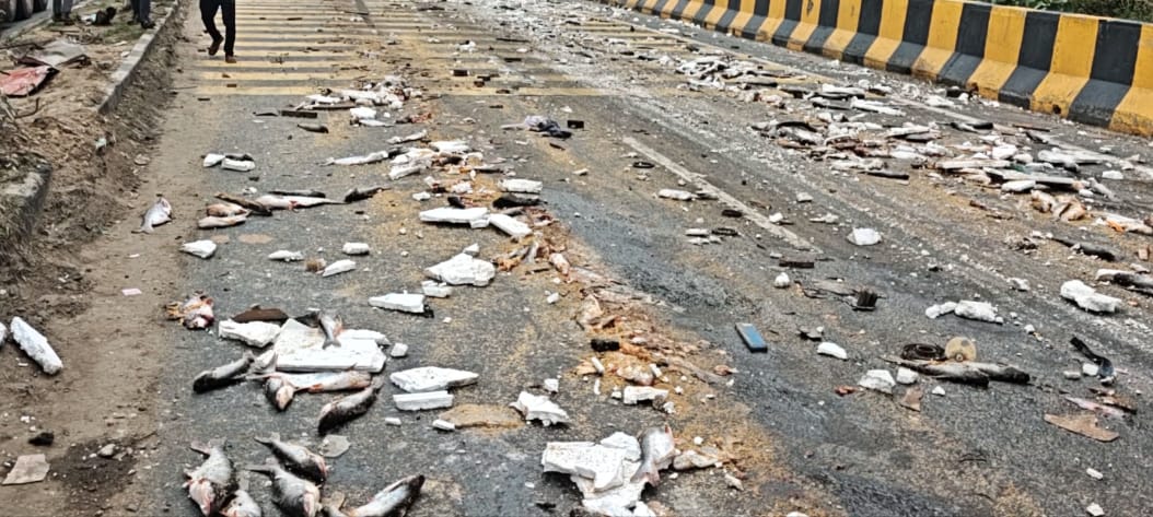 सड़क पर बिखरी मछली