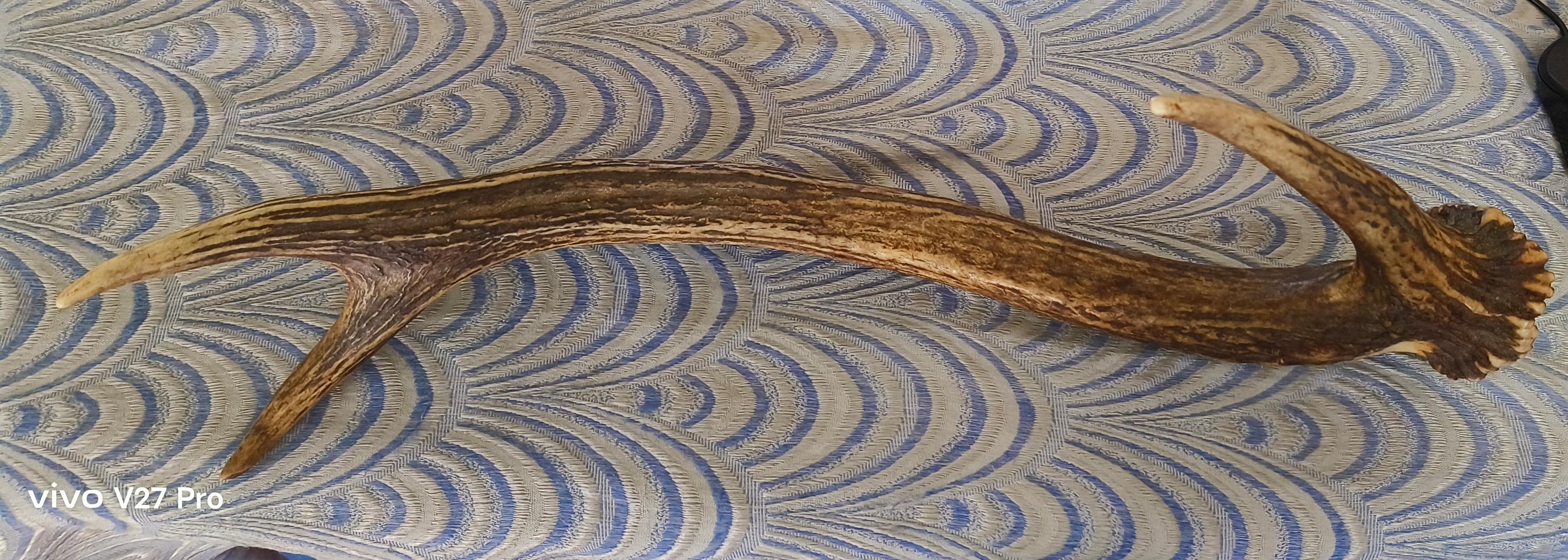 तस्करी