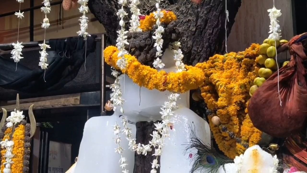 नौतपा की प्रचंड तपिश में “बाबा बर्फानी” बने मसाणिया धाम के भेरूनाथ 3100 किलो बर्फ से हुआ अलौकिक श्रृंगार, आस्था के संग श्रद्धालुओं ने दी शीतलता की सौगात नौतपा की प्रचंड तपिश में “बाबा बर्फानी” बने मसाणिया धाम के भेरूनाथ 3100 किलो बर्फ से हुआ अलौकिक श्रृंगार, आस्था के संग श्रद्धालुओं ने दी शीतलता की सौगात
