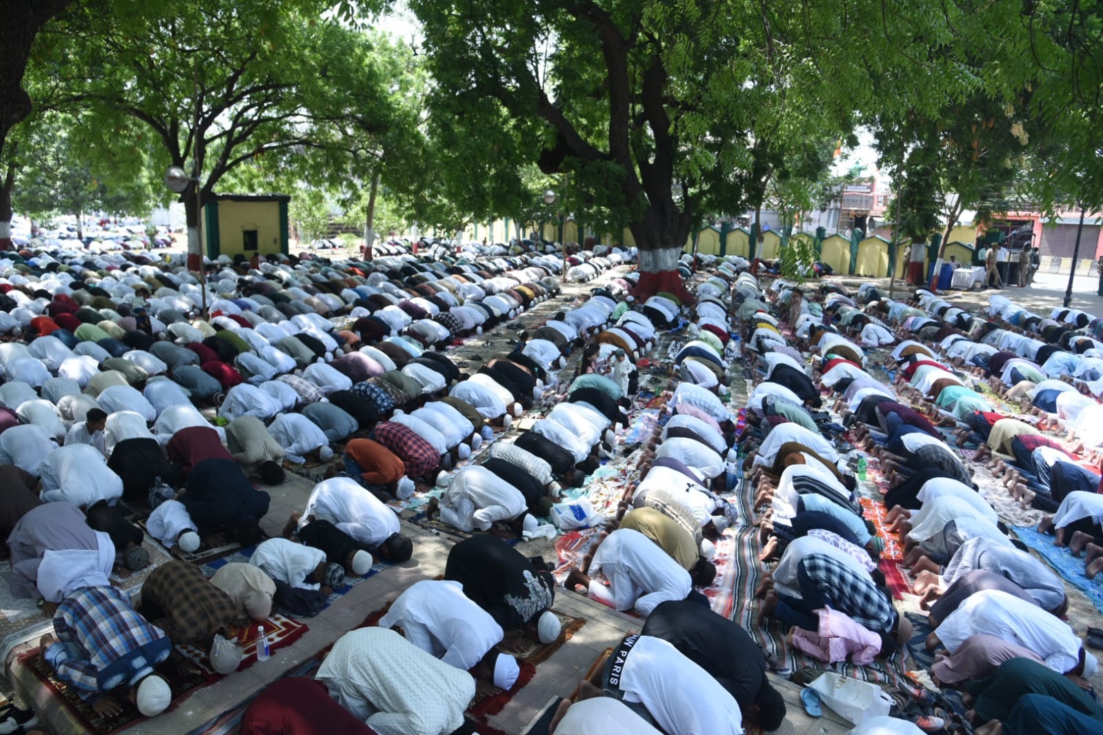 लखनऊ में बकरीद त्योहार पर नमाज अदा करते मुस्लिम समाज के लोग लखनऊ में बकरीद त्योहार पर नमाज अदा करते मुस्लिम समाज के लोग