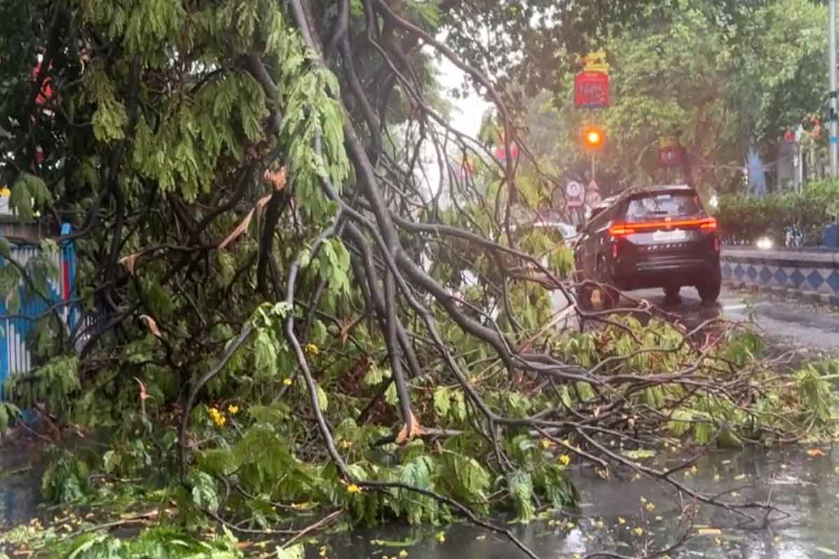 बारिश का नजारा