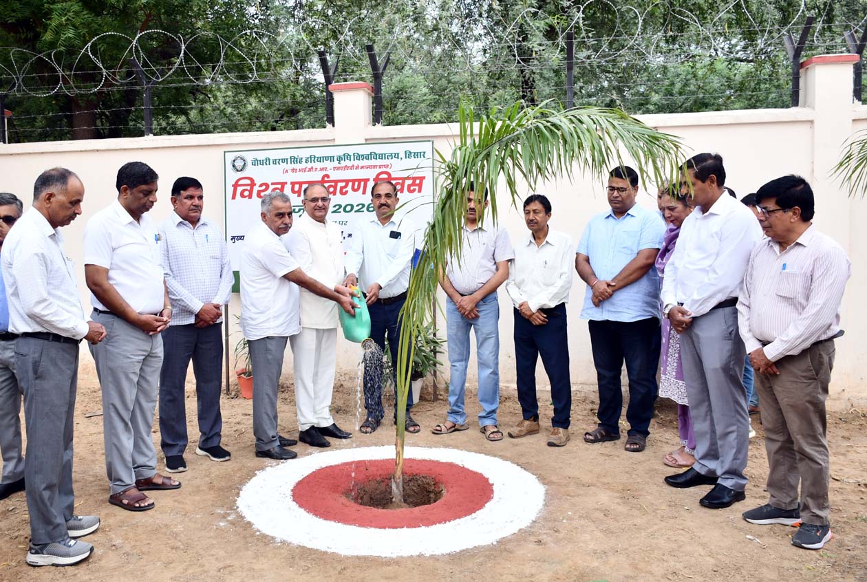 विश्व पर्यावरण दिवस पर पौधरोपण करते कुलपति प्रो. बीआर कम्बोज।