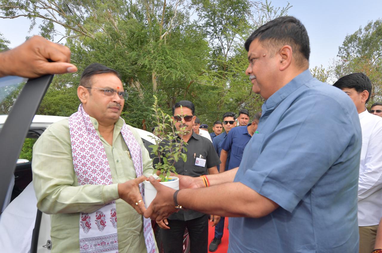विश्व पर्यावरण दिवस