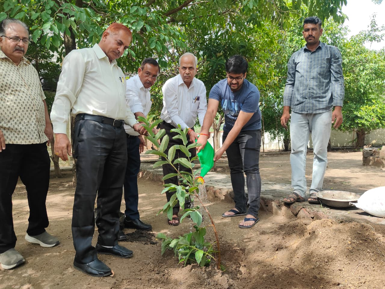 Several government and private institutions planted trees in Ajmer on World Environment Day.