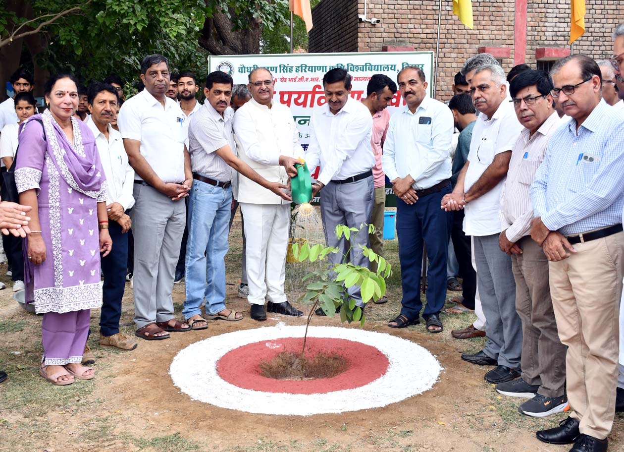 पौधरोपण करते हकृवि के कुलपति प्रो. बीआर कम्बोज। पौधरोपण करते हकृवि के कुलपति प्रो. बीआर कम्बोज।