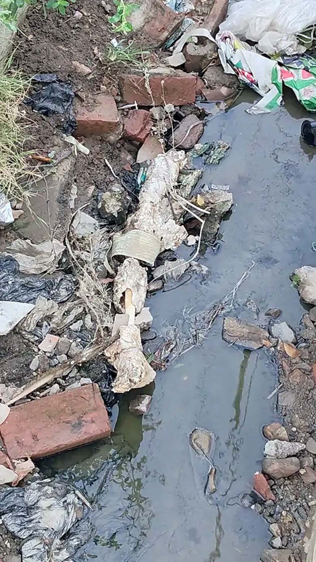 बरसाती नाले में मिली कटी हुई टांग। बरसाती नाले में मिली कटी हुई टांग।