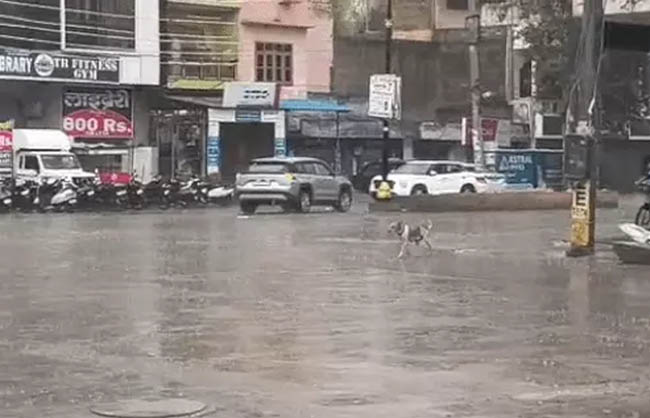 नारनौल में सुबह से हो रही बारिश का दृश्य।
