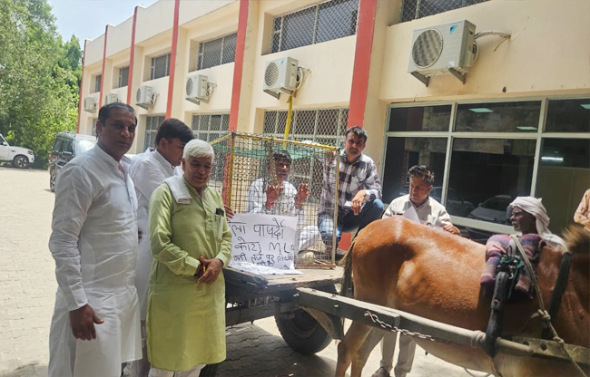 सोनीपत: पिंजरे में कैद जिला पार्षद संजय  बडवासनिया