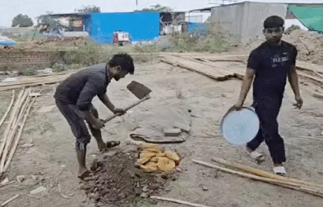 सोनीपत: घेवर को मिट्टी में दबाते हुए कर्मचारी