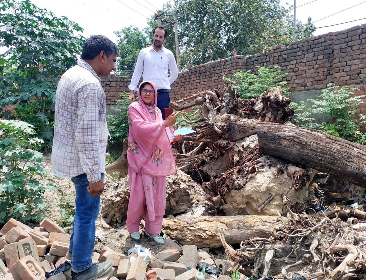 काटे गए पेड़ों की जांच करते सीएम फ्लाइंग व वन विभाग के अधिकारी।