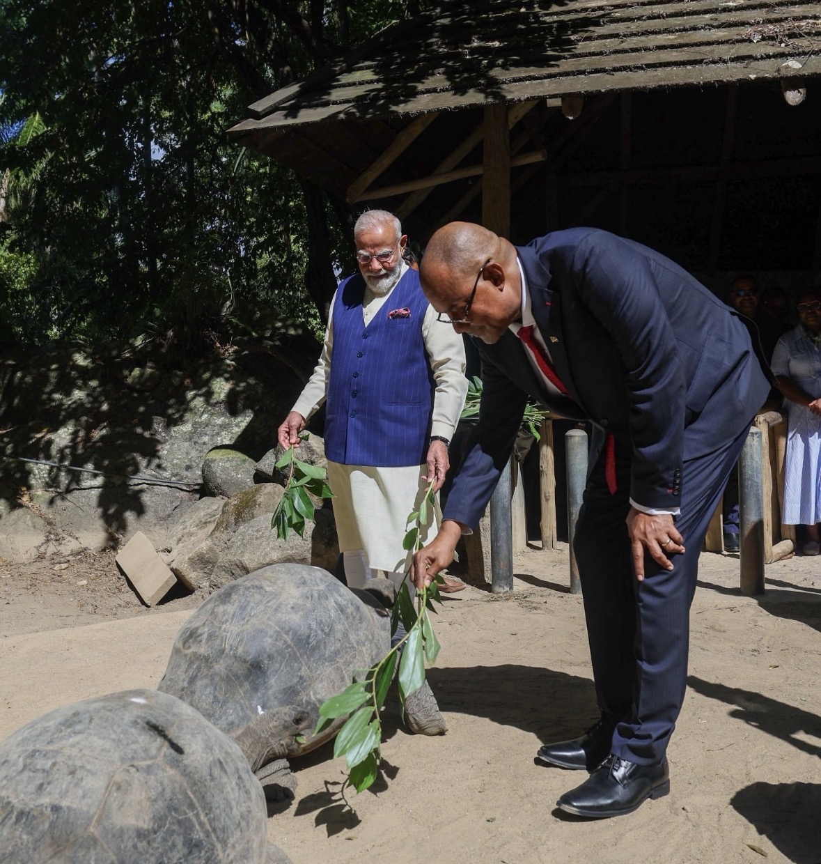 राष्ट्रीय वनस्पति उद्यान में एल्डाब्रा विशालकाय कछुओं के बाड़े का भ्रमण करते प्रधानमंत्री नरेन्द्र मोदी।
