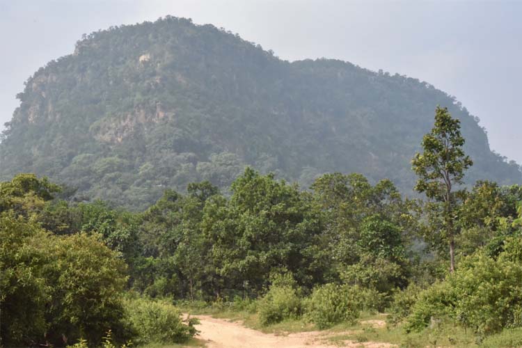 रामगढ़ महोत्सव-2026 का आयोजन 29 एवं 30 जून को