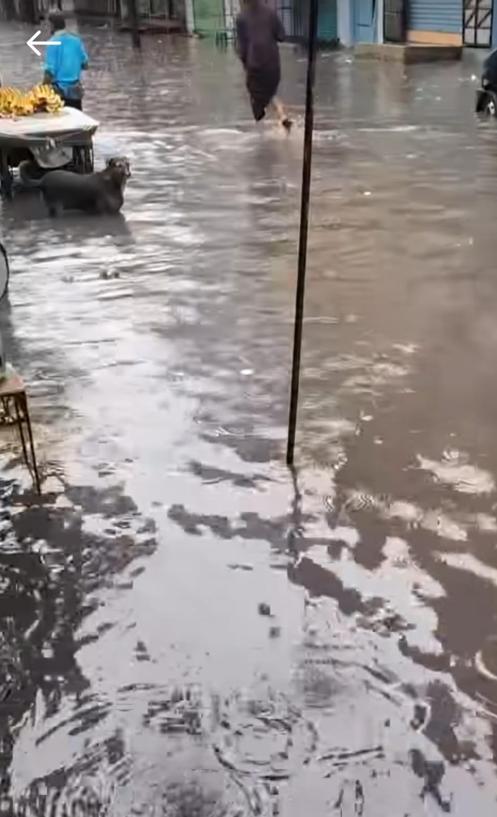मुरादाबाद में बुधवार को हुई झमाझम बारिश के बाद असलतपुर क्षेत्र में सड़क पर भरा बारिश का गंदा पानी।