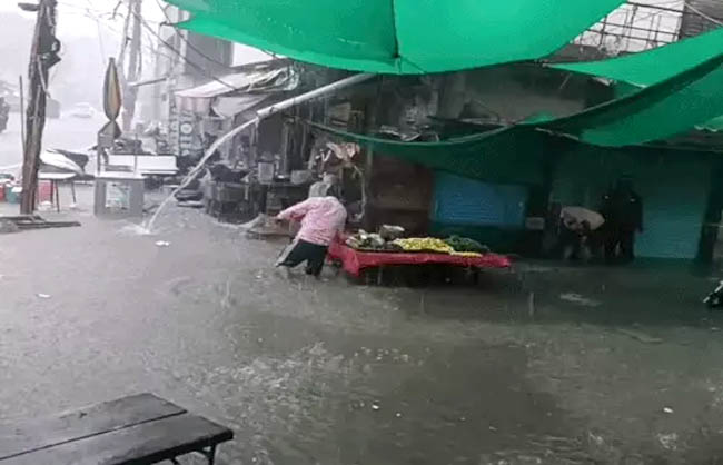 नारनौल में बरसात से भरा पानी। नारनौल में बरसात से भरा पानी।