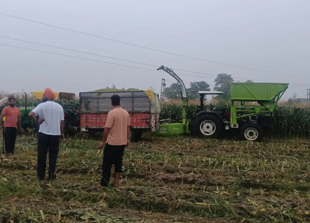 हादसे के बाद मौके पर पहुंचे परिजन और टै्रक्टर ट्राली के ऊपर से गुजर रही बिजली की तारें।