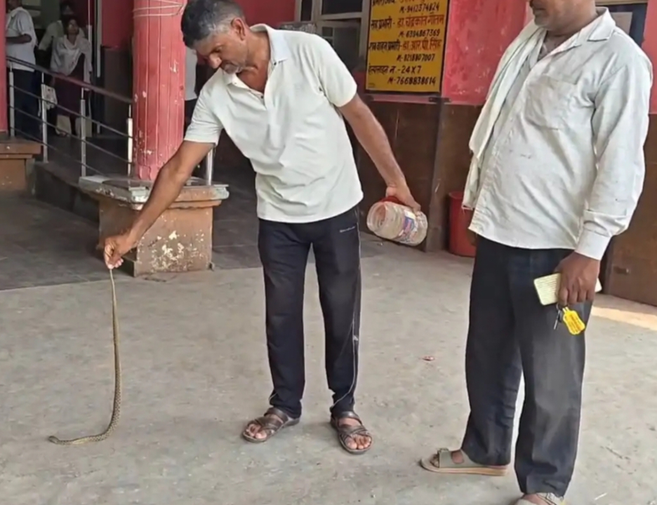 सांप दिखाते परिजन