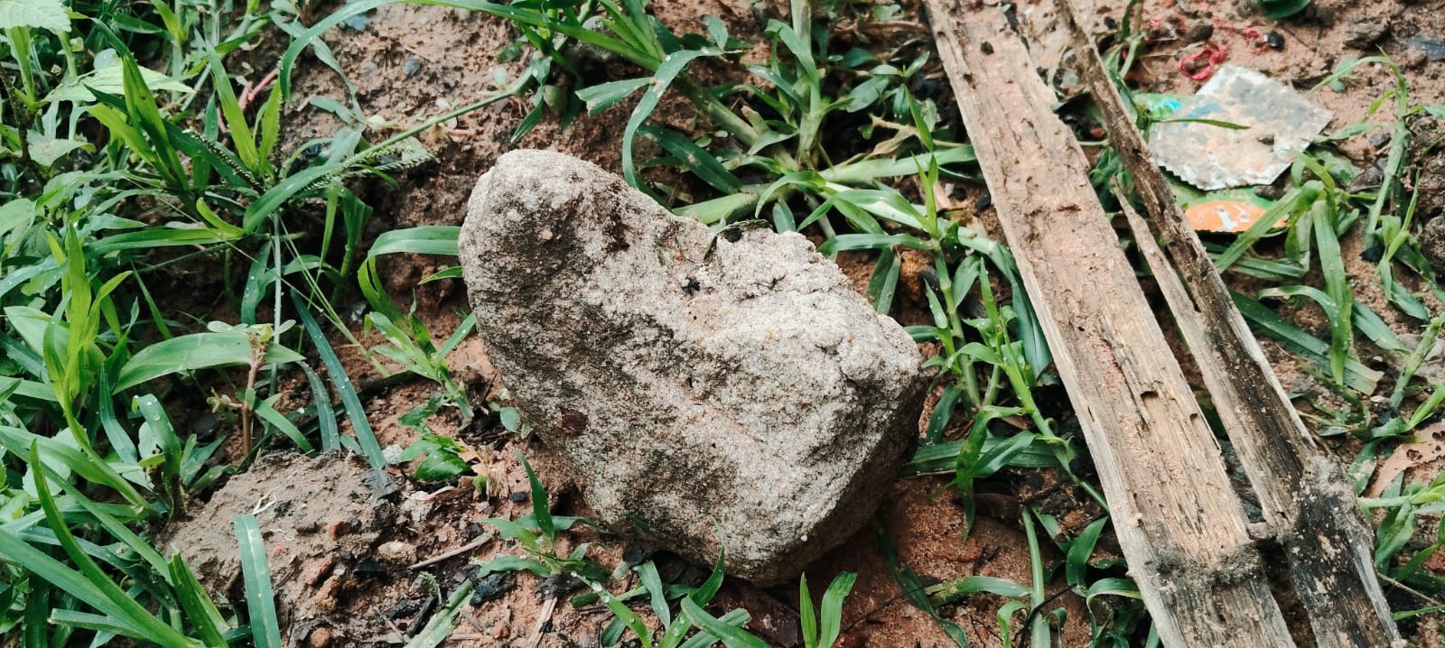 हेवी ब्लास्टिंग से दहशत में नराईबोध के ग्रामीण, घरों पर पत्थर गिरने का आरोप; मांगें नहीं मानी गईं तो SECL गेवरा मुख्यालय घेरने की चेतावनी हेवी ब्लास्टिंग से दहशत में नराईबोध के ग्रामीण, घरों पर पत्थर गिरने का आरोप; मांगें नहीं मानी गईं तो SECL गेवरा मुख्यालय घेरने की चेतावनी