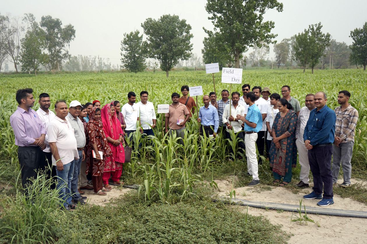 प्रगतिशील किसानों को लहलहाती ‘सीएसवी-59 बीएमआर ज्वार’ की फसल दिखाते डॉ. अभिजीत डे व अन्य।