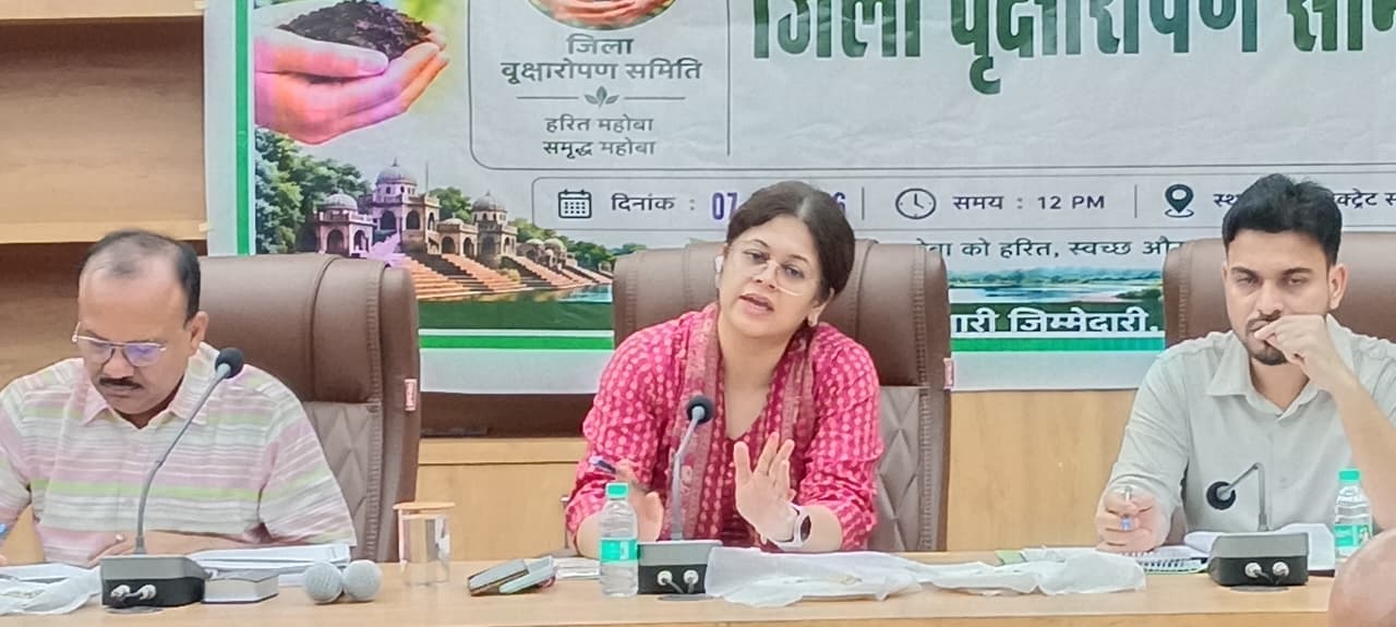 जिला वन समिति की बैठक में डीएम