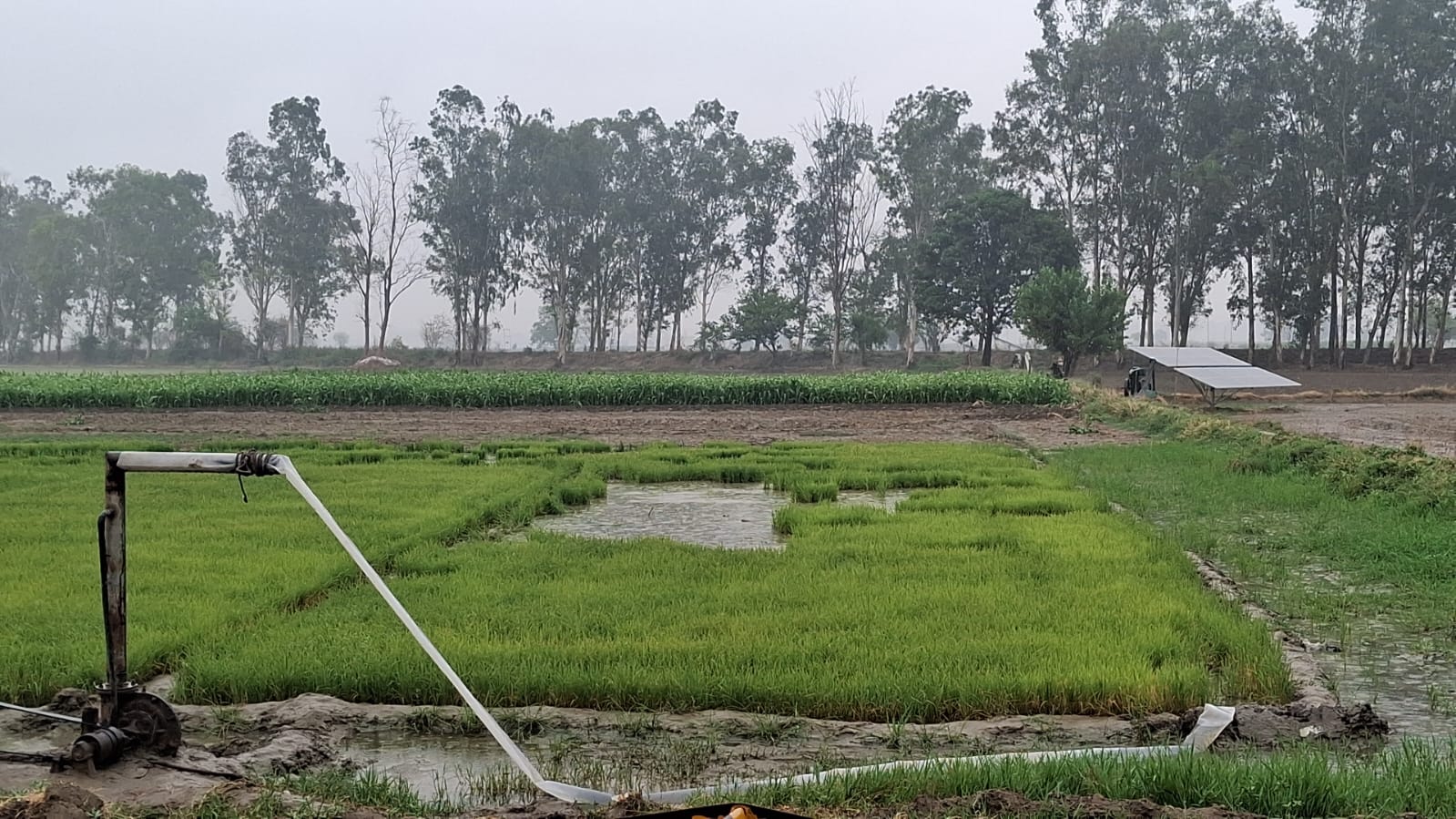 बारिश से खुशगवार हुआ मौसम।