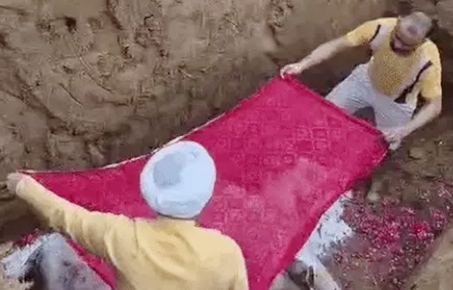 सोनीपत: गौ माता को वैदिक विधि से अंतिम विदाई देते हुए सोनीपत: गौ माता को वैदिक विधि से अंतिम विदाई देते हुए