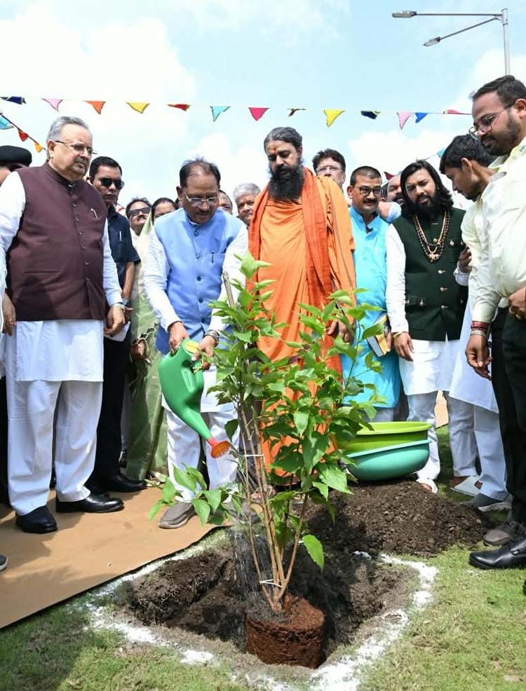 लोक पर्व हरेली तिहार