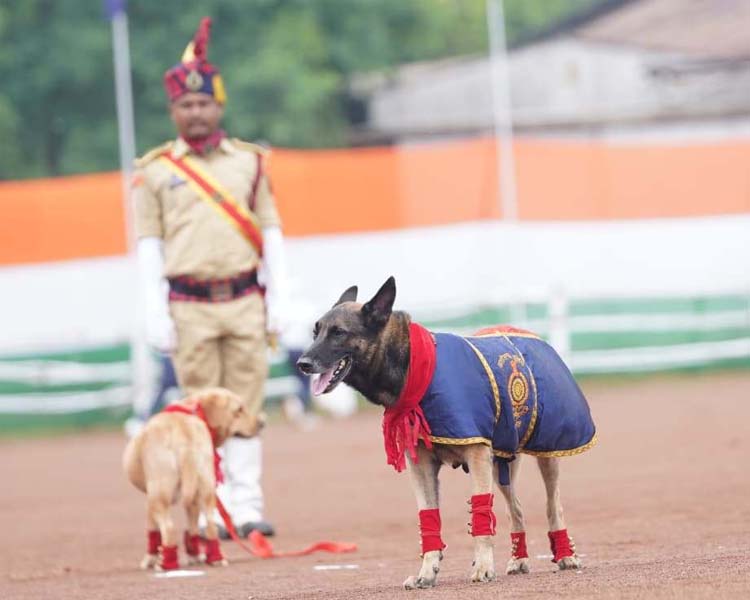 स्वतंत्रता दिवस समारोह