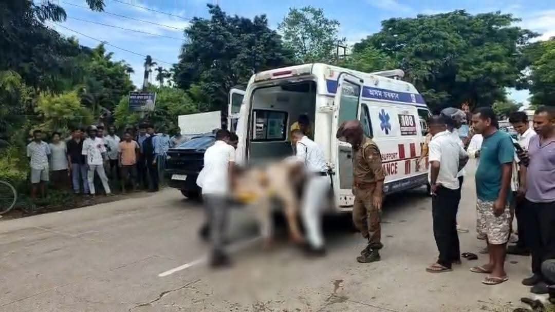 सड़क हादसे में दो की मौत