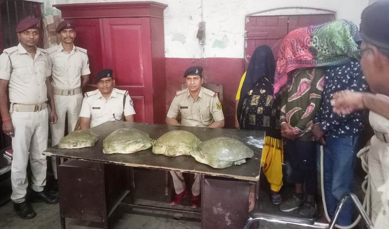27 Turtles Recovered from Farakka Express, 450 Live Frogs Found in Silchar 27 Turtles Recovered from Farakka Express, 450 Live Frogs Found in Silchar
