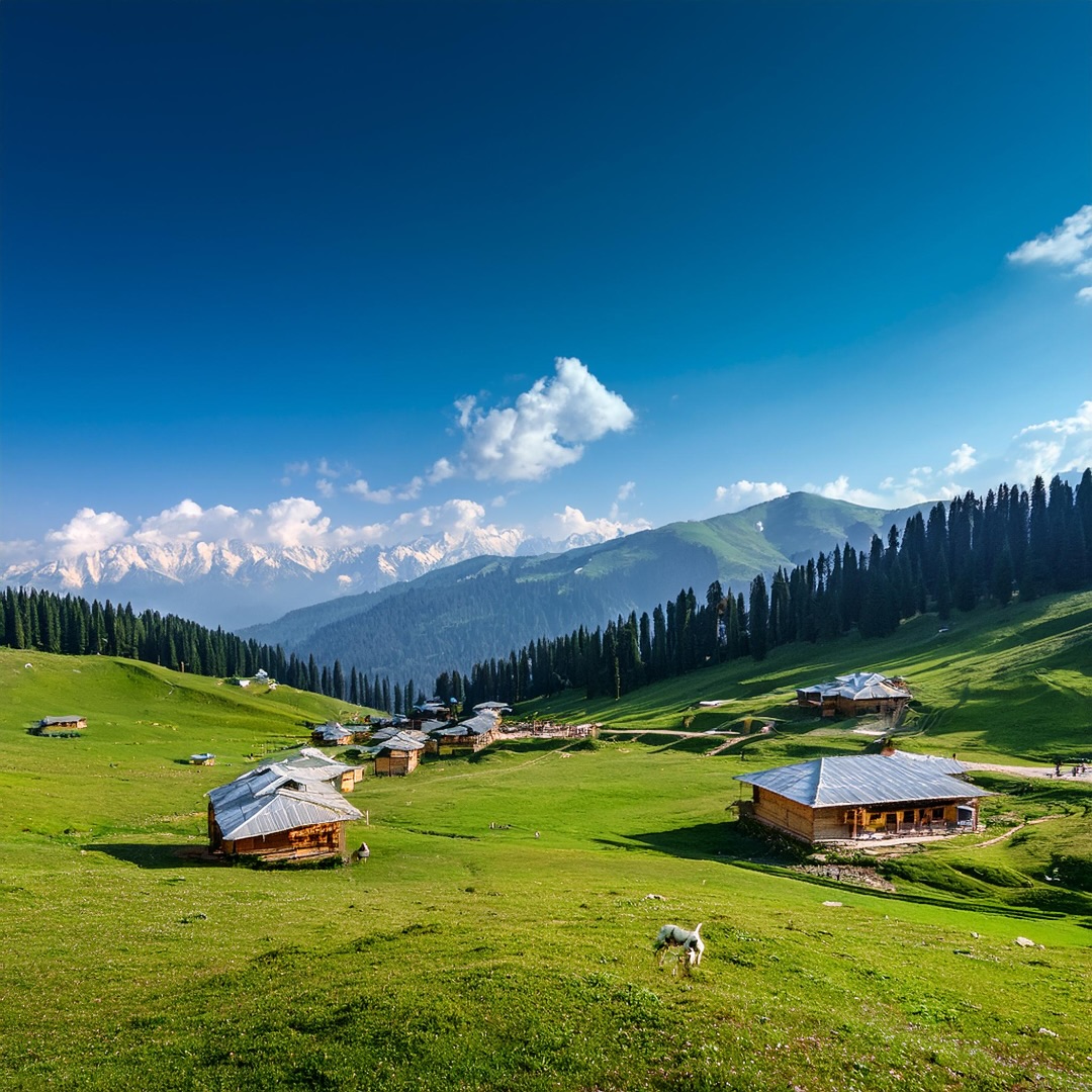 Govt closes 48 tourist destinations out of 87, Steep decline in arrival of passengers at airport in Kashmir Govt closes 48 tourist destinations out of 87, Steep decline in arrival of passengers at airport in Kashmir