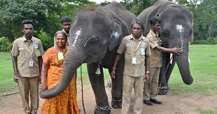 Mahouts in Theppakadu Elephant Camp Get Houses in Tamil Nadu Mahouts in Theppakadu Elephant Camp Get Houses in Tamil Nadu