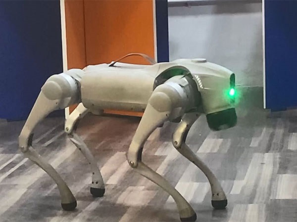Coimbatore Engineers Develop AI-Powered Dog Robot for Multi-Tasking Coimbatore Engineers Develop AI-Powered Dog Robot for Multi-Tasking