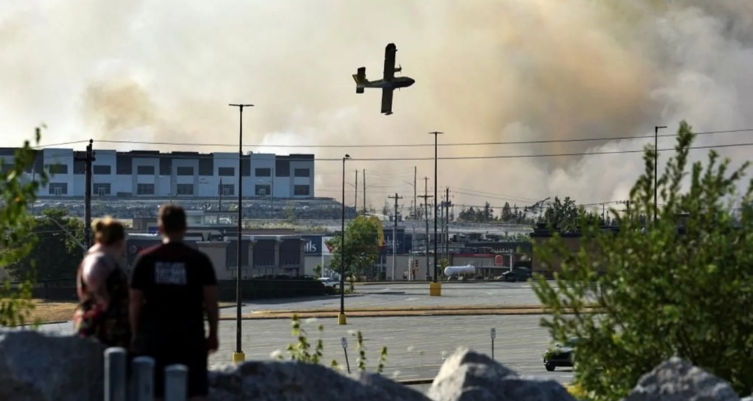 Nova Scotia’s Sweeping Forest Ban Sparks Backlash Amid Explosive Wildfire Threat Nova Scotia’s Sweeping Forest Ban Sparks Backlash Amid Explosive Wildfire Threat