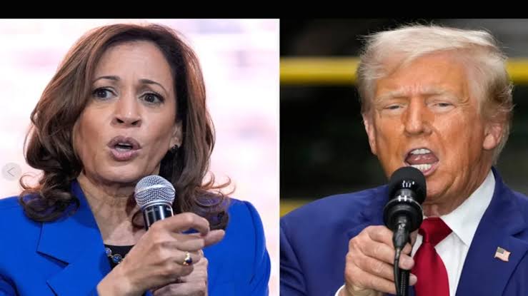 File photo File photo